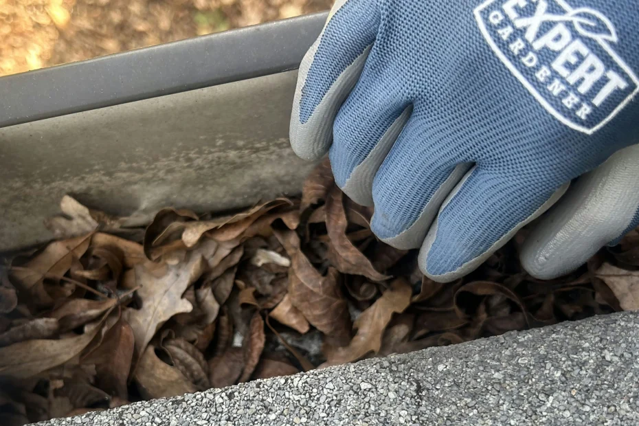 Gutter Cleaning Falkville