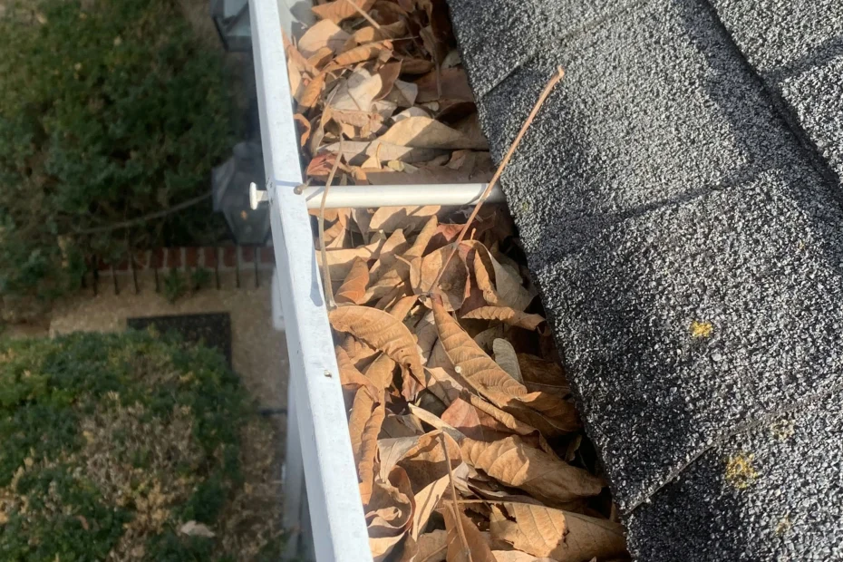 Gutter Cleaning Falkville