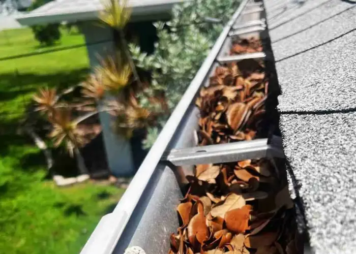 Gutter Cleaning Falkville home page